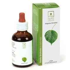 Horti celati Ribes Nero Bio 50ml - Erboristeria Il Miglio Verde