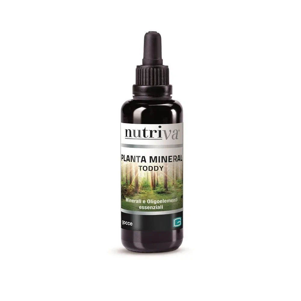 Planta mineral Toddy - Erboristeria Il Miglio Verde