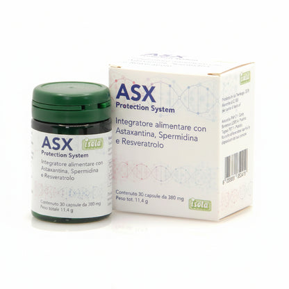 ASX PROTECTION SYSTEM