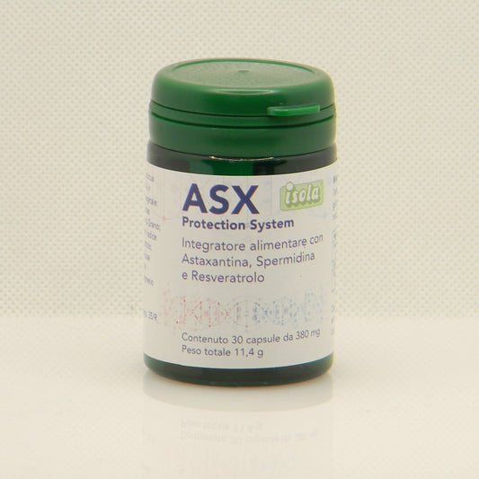 ASX PROTECTION SYSTEM